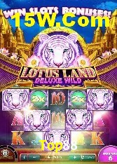 Casino VIP Top88